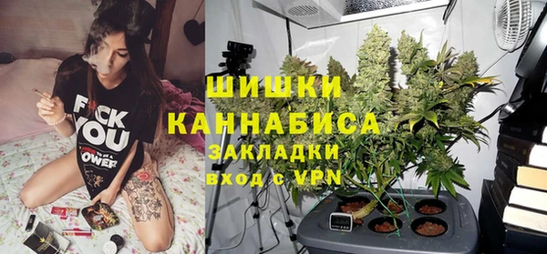 mix Богородицк