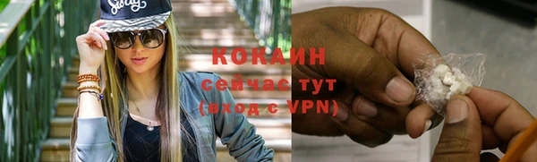 mix Богородицк