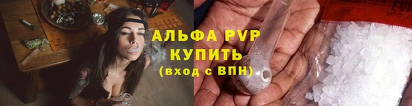 спиды Беломорск
