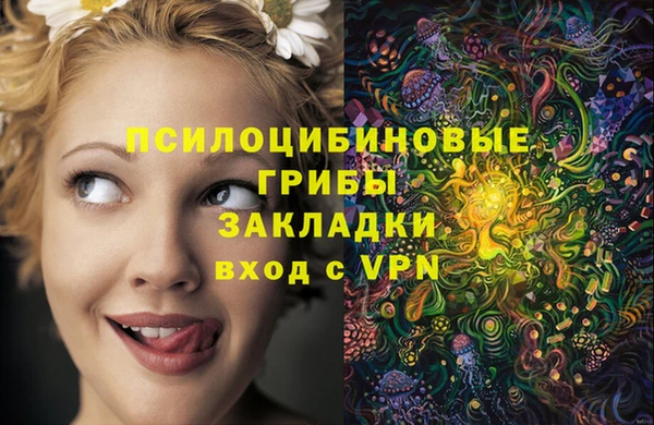 spice Богданович