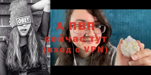 mix Богородицк