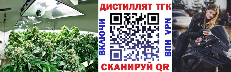где купить наркоту Великие Луки ТГК THC oil