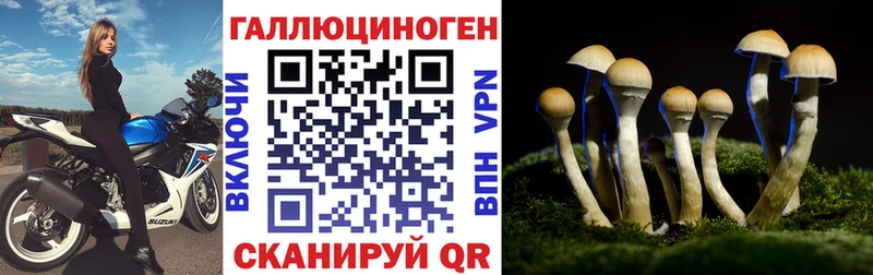Галлюциногенные грибы Psilocybine cubensis  Великие Луки 